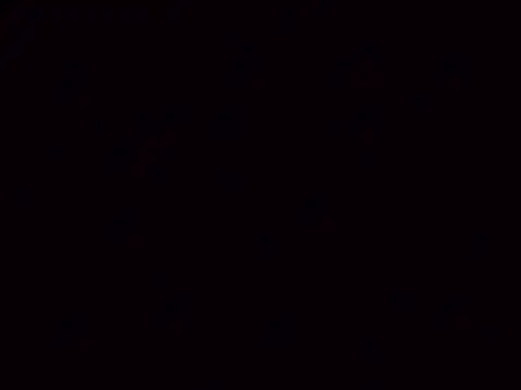 Snapshot of Nailahex chatting on 11/05/25, 10:59 Nailahex online show from 11/05/25, 10:59