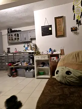 abdierkader online show from 11/12/25, 09:03