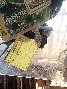 Skinny Bigass 23 online show from 11/16/25, 07:25