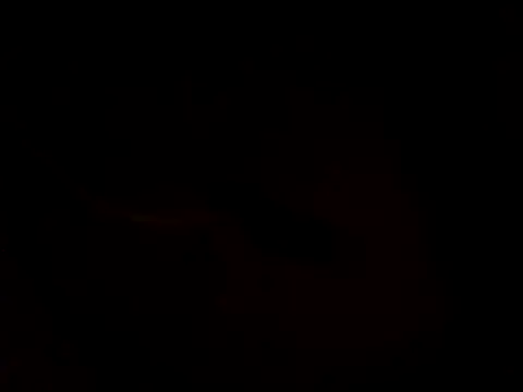 ariana crazzy online show from 02/24/26, 08:01