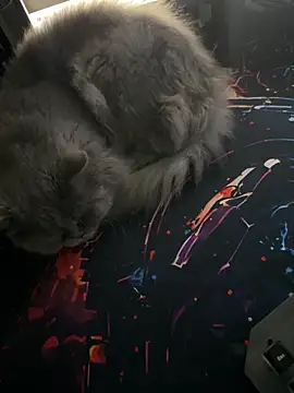 Snapshot of Leo-Cock chatting on 03/26/26, 09:59 Leo-Cock online show from 03/26/26, 09:59