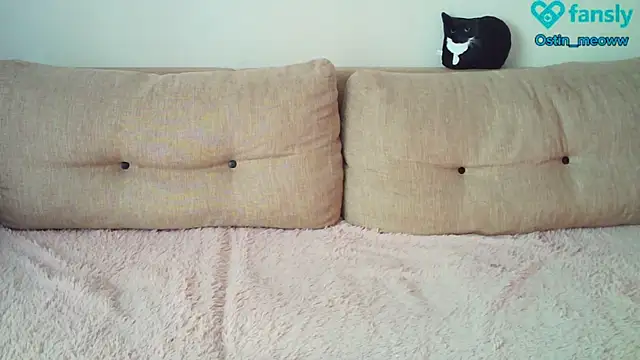 Ostin meow online show from 02/20/25, 06:39