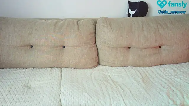 Ostin meow online show from 02/25/25, 08:14