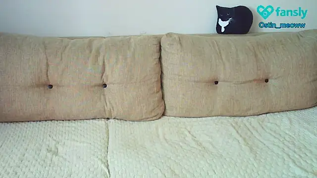 Ostin meow online show from 03/19/25, 06:14