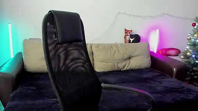 Ostin meow online show from 12/19/25, 05:14