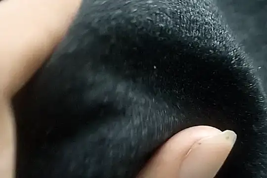 Telugu sollakaya online show from 12/02/24, 06:43