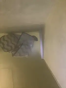 Tommy y Pamela online show from 02/17/26, 03:25