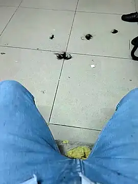 Snapshot of faaseel chatting on 09/12/25, 11:54 faaseel online show from 09/12/25, 11:54