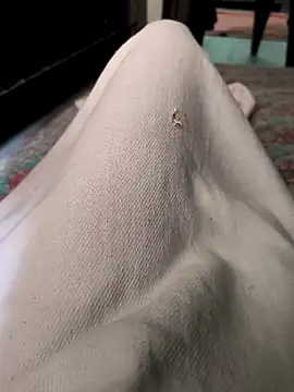 Snapshot of faaseel chatting on 10/28/25, 04:49 faaseel online show from 10/28/25, 04:49