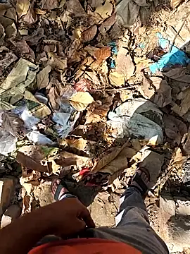 faaseel online show from 04/23/26, 09:41