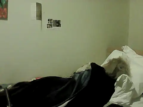 housewife shantie online show from 02/08/26, 08:56