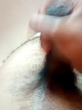 Snapshot of Vignesh3246 chatting on 12/15/24, 02:59 Vignesh3246 online show from 12/15/24, 02:59