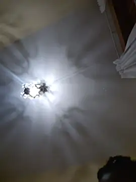 GoddessCarrie online show from 07/09/26, 07:18