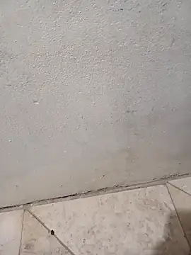 lemon69Reo online show from 02/08/26, 06:39