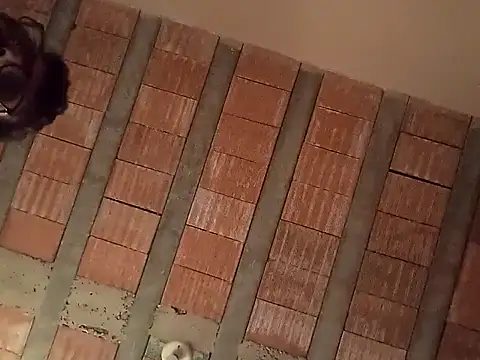 Snapshot of jtf4055 chatting on 09/13/25, 09:42 jtf4055 online show from 09/13/25, 09:42