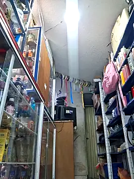 nidia2026 online show from 11/20/25, 03:34