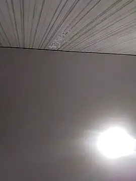 Snapshot of Lorrain_Dorrie chatting on 12/02/25, 06:30 Lorrain Dorrie online show from 12/02/25, 06:30