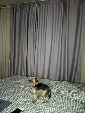 Cute Barbieee  online show from 12/06/24, 10:08