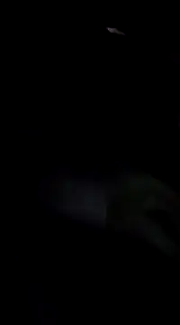 Eva Florence online show from 02/19/25, 04:22