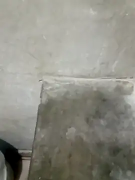 Juan 45 online show from 04/13/26, 09:04