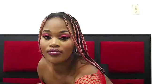 Catalia404 online show from 12/20/24, 10:49