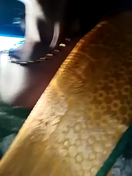 Kajal  Mehra online show from 03/28/26, 03:39