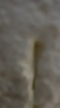 Snapshot of tuty_Tap chatting on 12/07/24, 05:31 tuty Tap online show from 12/07/24, 05:31