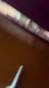 nick  yy online show from 02/19/26, 05:03