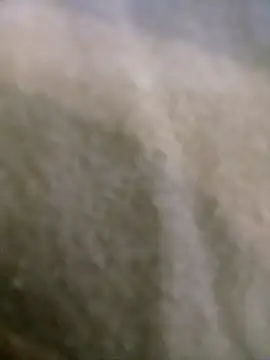 houy111111 online show from 01/09/26, 05:48