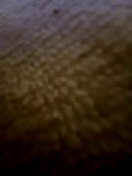 houy111111 online show from 02/03/26, 05:51