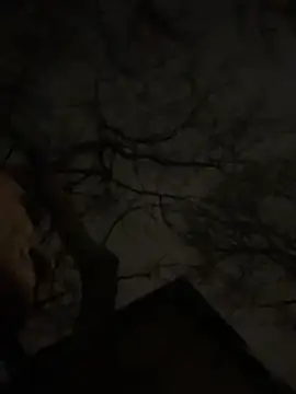 -yakimov- online show from 01/31/26, 07:34