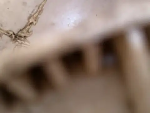 small131 online show from 03/17/25, 06:29