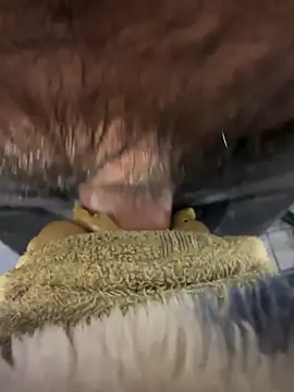 edgher646 online show from 04/25/26, 12:46