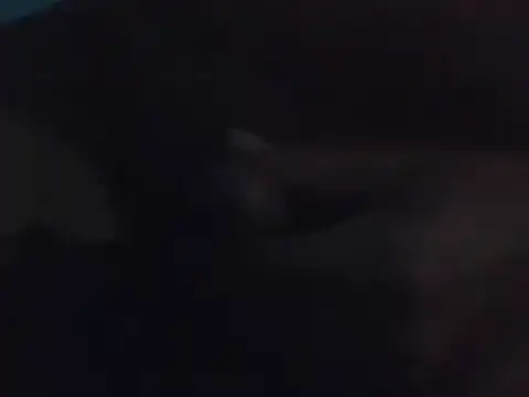 Penis58 online show from 12/15/24, 10:26