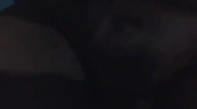 Penis58 online show from 12/16/24, 11:39