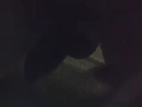 Penis58 online show from 12/22/24, 12:16