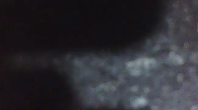 Penis58 online show from 02/10/25, 06:56