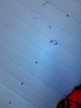 frotasso online show from 12/12/24, 04:15