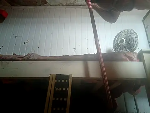 Snapshot of frotasso chatting on 02/14/26, 02:25 frotasso online show from 02/14/26, 02:25