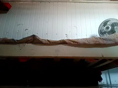 Snapshot of frotasso chatting on 02/20/26, 03:23 frotasso online show from 02/20/26, 03:23