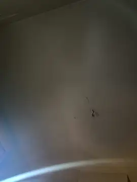 Jiimy2fois online show from 03/06/26, 09:39