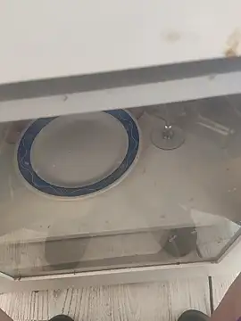 lunaxxxtreme online show from 11/11/25, 12:27