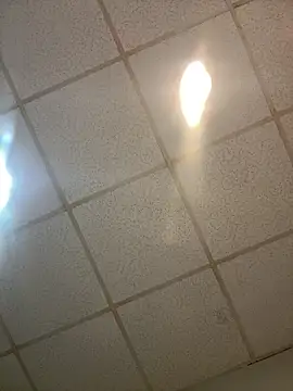 meximaloo1 online show from 04/24/26, 10:56