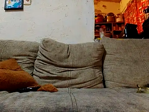 NewBe9D9 online show from 11/23/25, 09:42