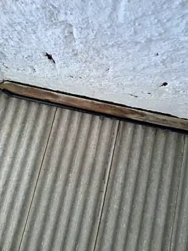 Snapshot of alexjs84 chatting on 11/22/25, 03:44 alexjs84 online show from 11/22/25, 03:44