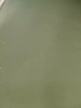 Miss balloonsmila online show from 01/22/25, 09:54