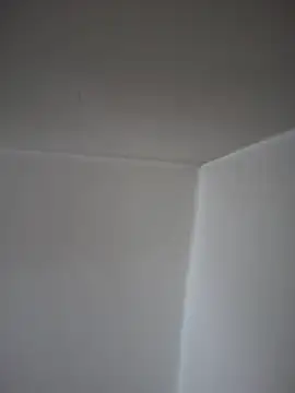 SecretlyDD online show from 04/23/26, 09:19