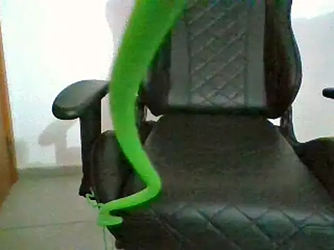NovinhoPirocudo6999 online show from 01/08/25, 10:27