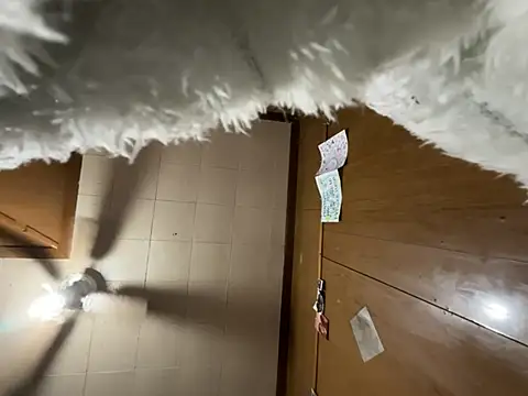 carmelbbyx22 online show from 03/29/26, 12:38