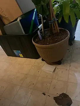 Thickirishcock850 online show from 03/23/26, 09:24